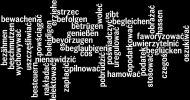 Czasowniki niemieckie występujące z biernikiem