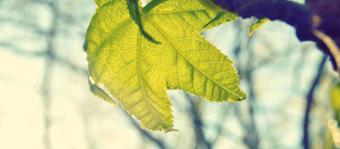 Pogoda - słówka niemieckie z tłumaczeniem - das Wetter