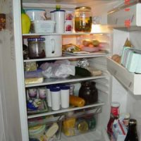 der Kühlschrank - lodówka