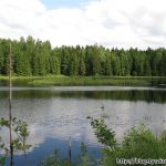 Puszcza Romincka - rozlewiska