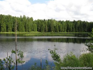 Puszcza Romincka - rozlewiska