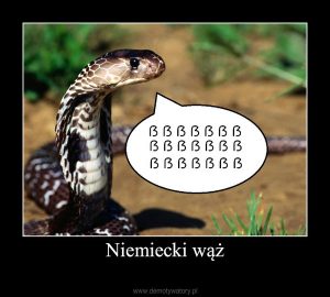 Niemiecki wąż