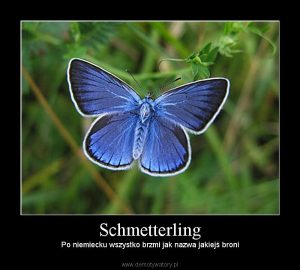 Schmetterling - nazwa broni