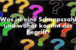 Was ist eine Schnapszahl und woher kommt der Begriff?