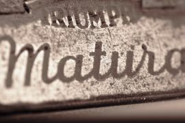 Matura ustna z niemieckiego 2016 - tematy